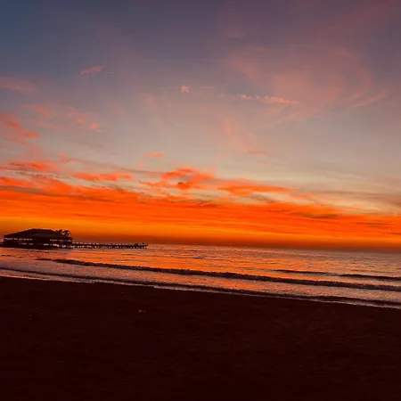 Lejlighed Sunny Loft *