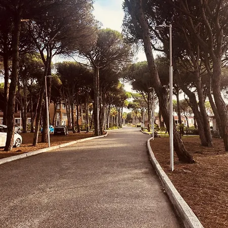 アパート Sunny Loft